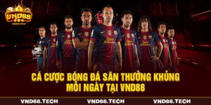 Cá Cược Bóng Đá - Tổng Hợp Kèo Hot Thưởng Hấp Dẫn Tại VND88