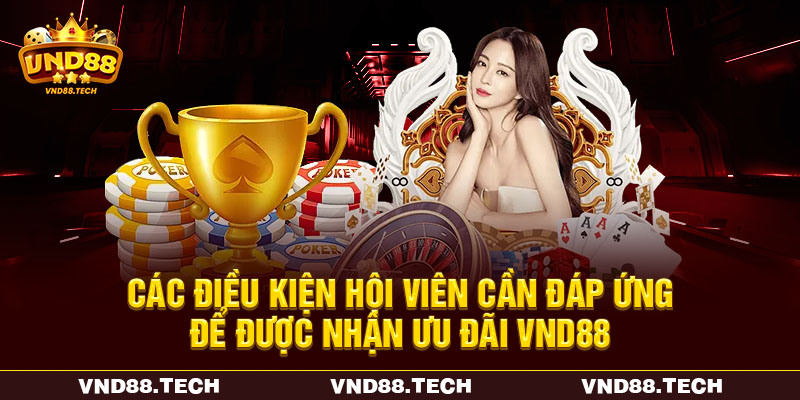 Các điều kiện hội viên cần đáp ứng để được nhận ưu đãi VND88