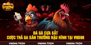 Đá Gà Cựa Sắt - Cược Thả Ga Săn Thưởng Hậu Hĩnh Tại VND88
