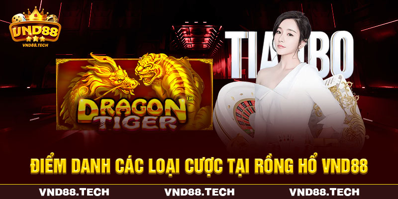 Điểm danh các loại cược tại rồng hổ VND88