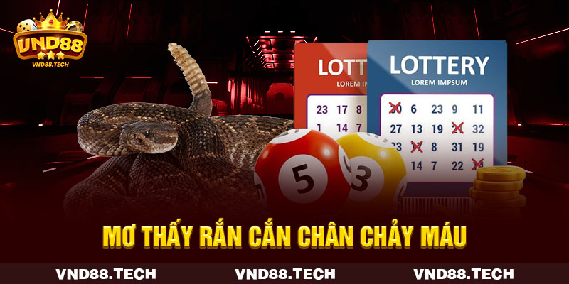 Mơ thấy rắn cắn chân chảy máu