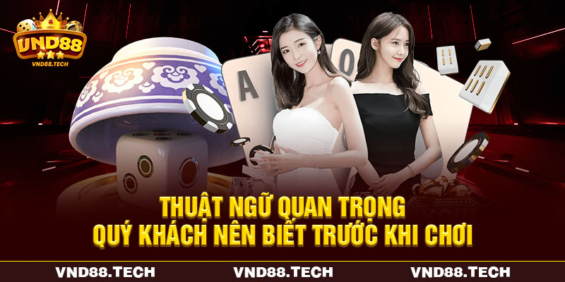 Thuật ngữ quan trọng quý khách nên biết trước khi chơi