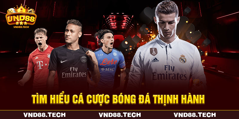 Tìm hiểu cá cược bóng đá thịnh hành