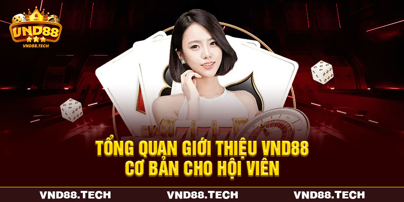 Tổng quan giới thiệu VND88 cơ bản cho hội viên