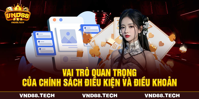 Khám phá vai trò quan trọng của chính sách điều kiện và điều khoản